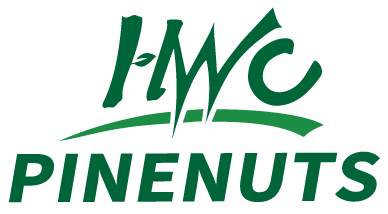 HWC Pine nuts | HWC Tree Nuts