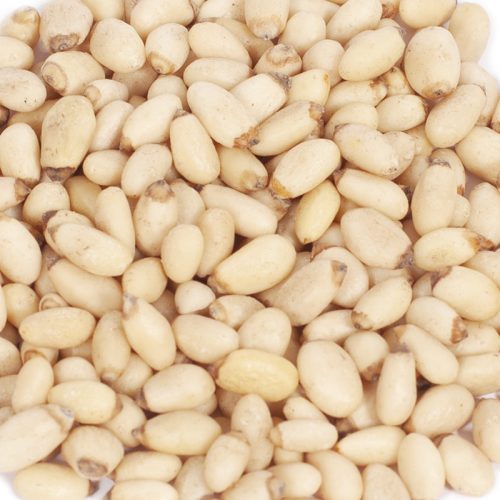 Huashan Pine Kernels