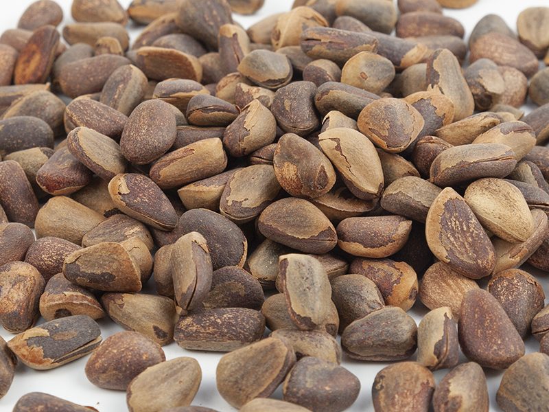 Roasted pine nuts