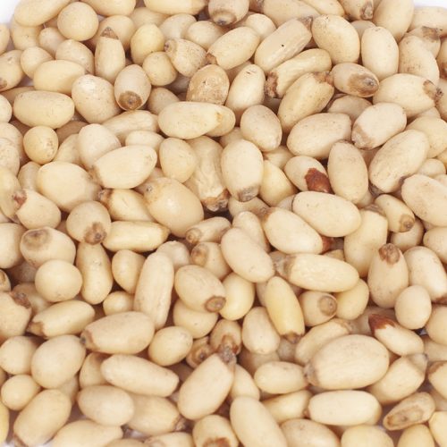 Yunnan Pine Kernels